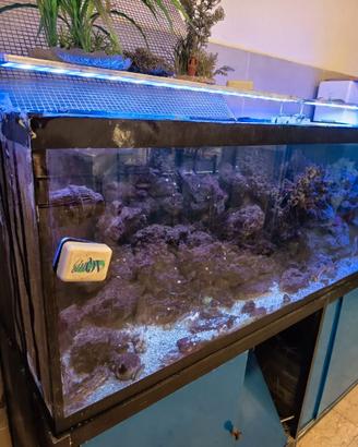 ACQUARIO PER PESCI TROPICALI