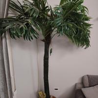 palma  da arredamento 