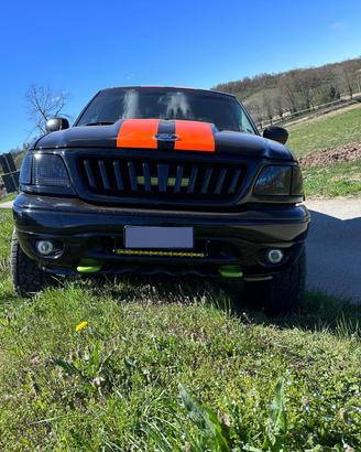 Ford f150 lariant