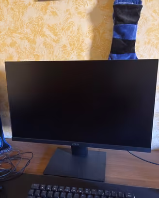 monitor MSI Gaming