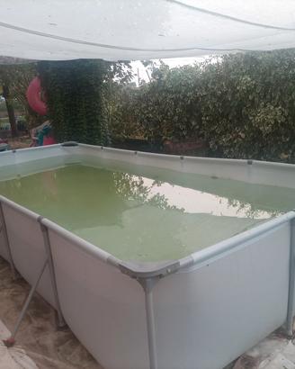 piscina fuori terra 