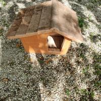 CUCCIA IN PLASTICA TAGLIA PICCOLA