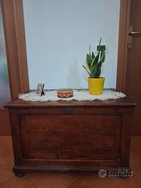 CASSAPANCA 