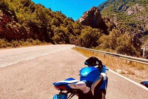 Suzuki Gsxr 1000 2010