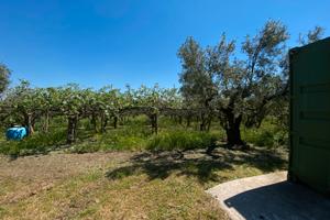 Terreno Agricolo
