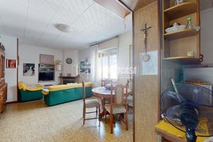 Trilocale con giardino!