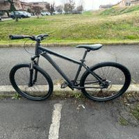 Bicicletta wheelebike