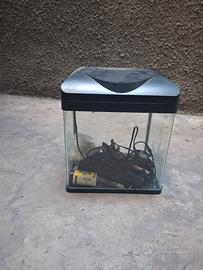 acquario Amtra  50 euro