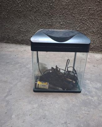 acquario Amtra  50 euro