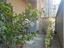 Immagine 17