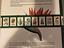 Immagine 2