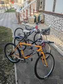 lotto di 3 biciclette vendute anche  singole 