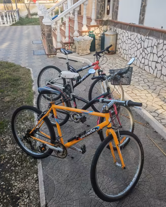 lotto di 3 biciclette vendute anche  singole 