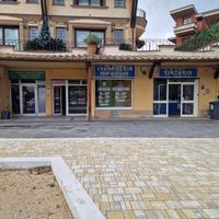 Attività Lavanderia /Tintoria e Self Services