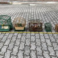 Gabbie per uccelli canarini pappagalli