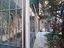 Immagine 11