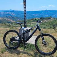 Specialized biammortizzata