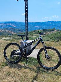 Specialized biammortizzata