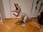 Immagine 2
