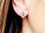 Immagine 10