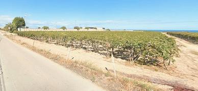 Terreno agricolo zona Maranco - Barletta