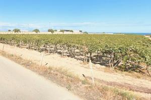 Terreno agricolo zona Maranco - Barletta