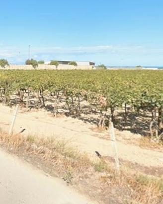 Terreno agricolo zona Maranco - Barletta