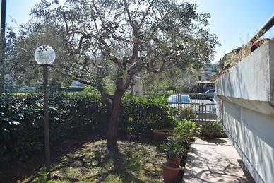 Appartamento indipendente contratto transitorio