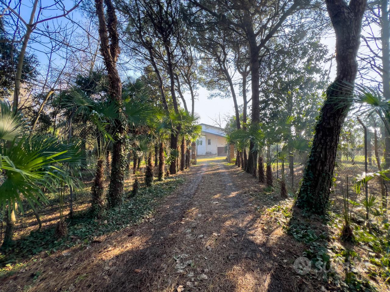 Casa – Correzzola, Brenta d'Abbà - Vista 3