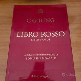 C.G. Jung – Il Libro Rosso Liber Novus illustrato