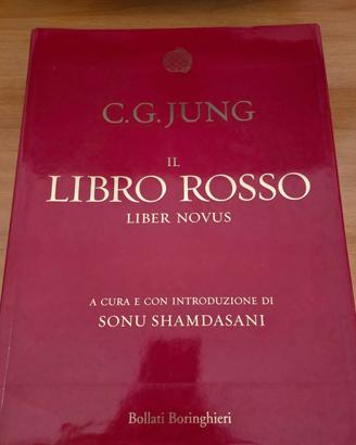 C.G. Jung – Il Libro Rosso Liber Novus illustrato