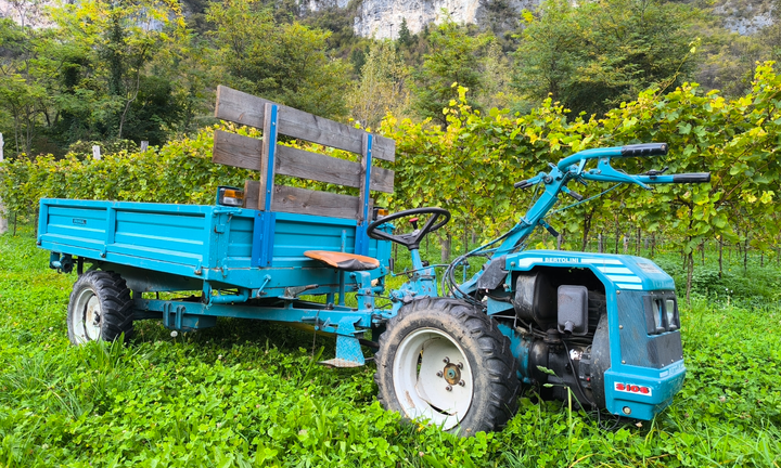 Motoagricola motocoltivatore Bertolini 510 s