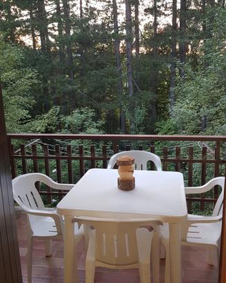 Appartamento/casa vacanza centro Camigliatello Sil