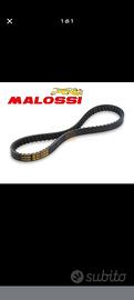 6116830 Cinghia variatore Malossi piaggio ciao 