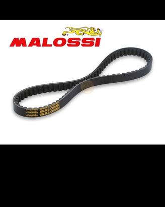 6116830 Cinghia variatore Malossi piaggio ciao 