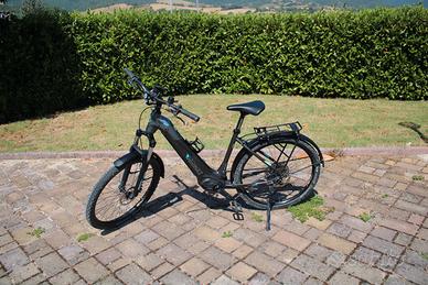 bici da trekking
