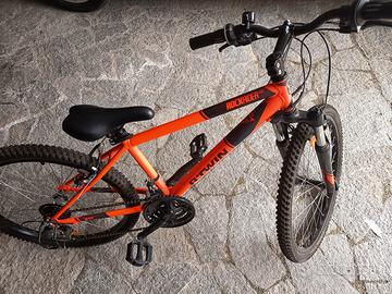 Bicicletta 