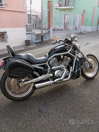 Harley Davidson vrod