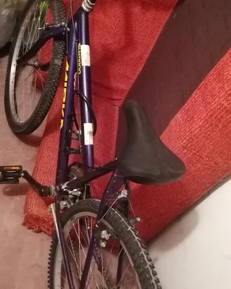 bicicletta 
