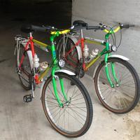 Coppia biciclette MBK