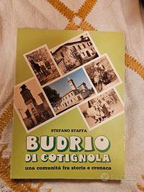 Budrio di Cotignola