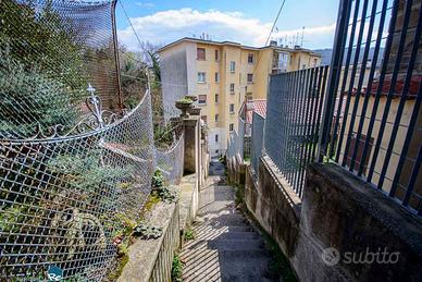 Casa, Cologna - Università, Trieste.