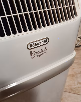 Climatizzatore Delonghi Pinguino compact