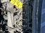 Immagine 3