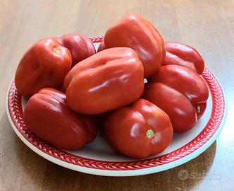 SEMI POMODORI raccolto 2025 IMMUNI ULTRA CENTENARI