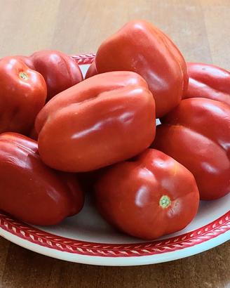 SEMI POMODORI raccolto 2025 IMMUNI ULTRA CENTENARI