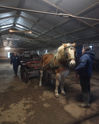 Feste di compleanno con gli animali