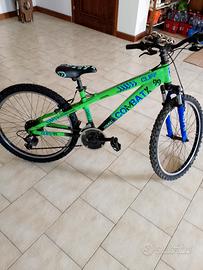 bici da ragazzo 