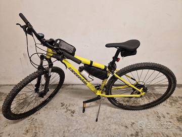 mtb cannondiale