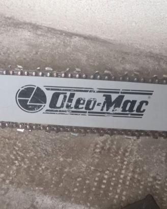 Motosega  oleomac
